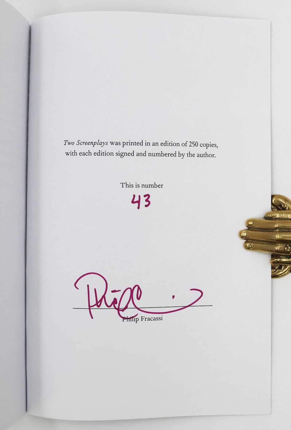 TWO SCREENPLAYS: BOYS IN THE VALLEY [and] GOTHIC -  image 2