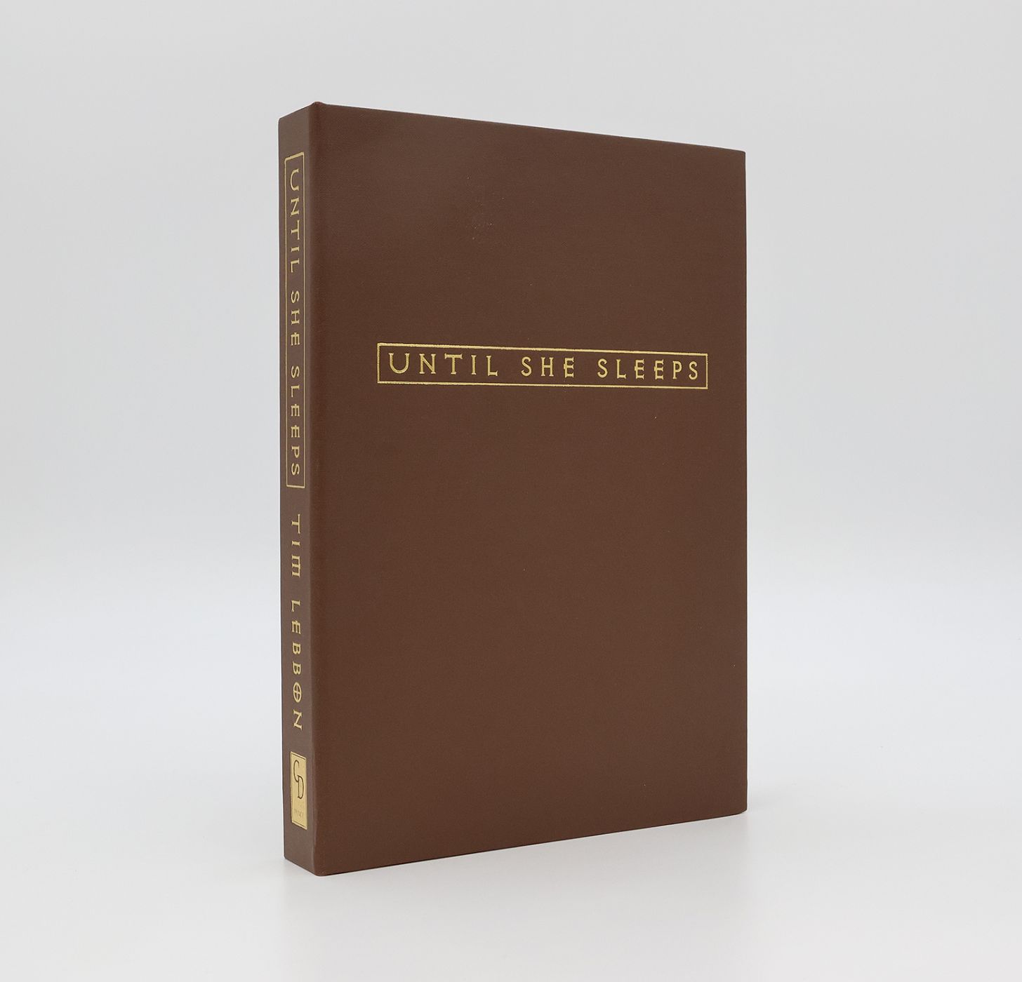 UNTIL SHE SLEEPS -  image 3