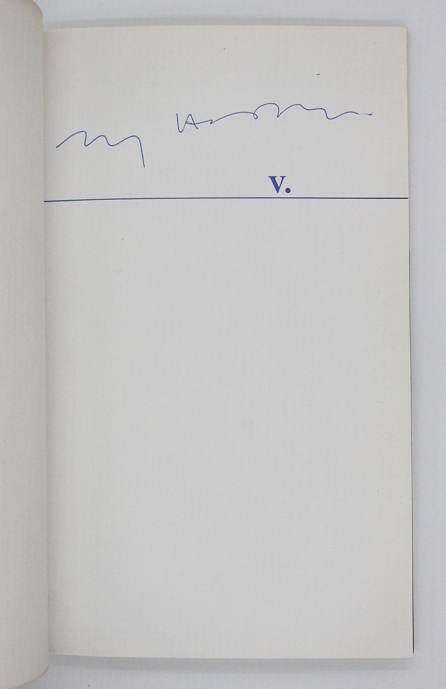 V. -  image 3