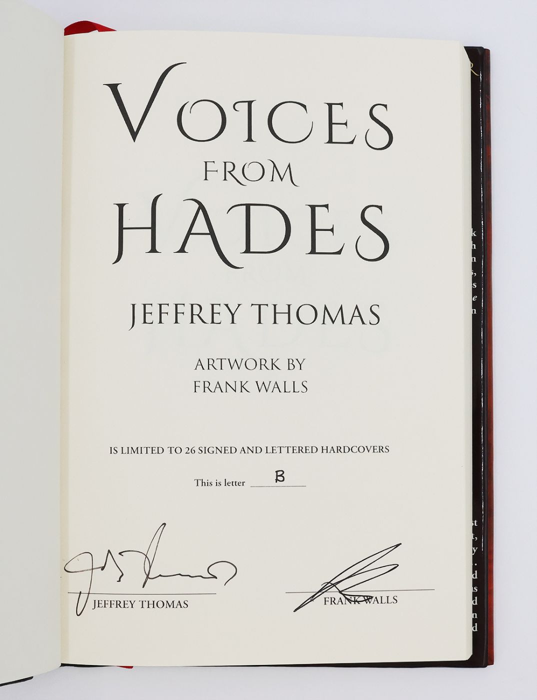 VOICES FROM HADES -  image 3