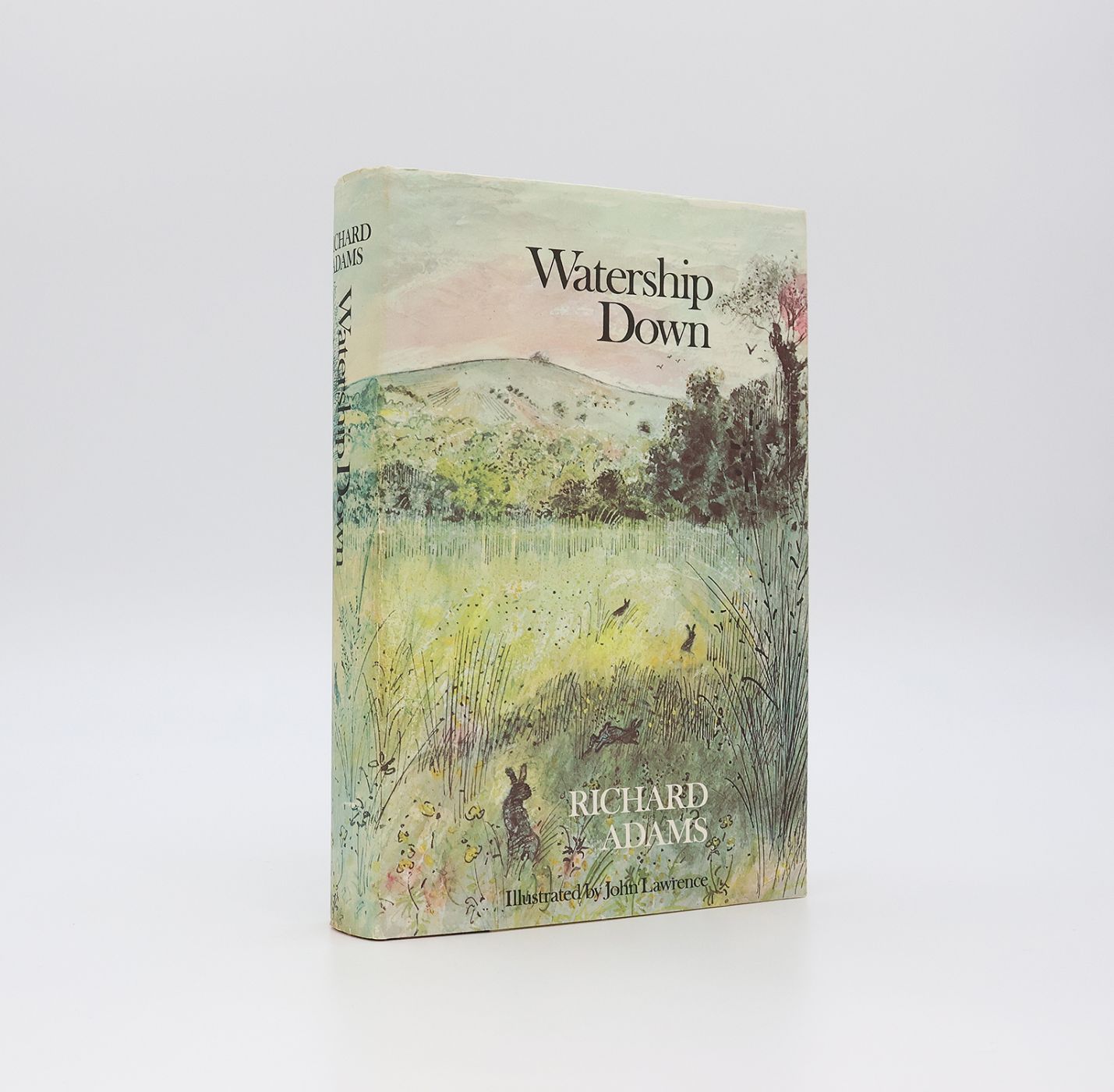 WATERSHIP DOWN -  image 2
