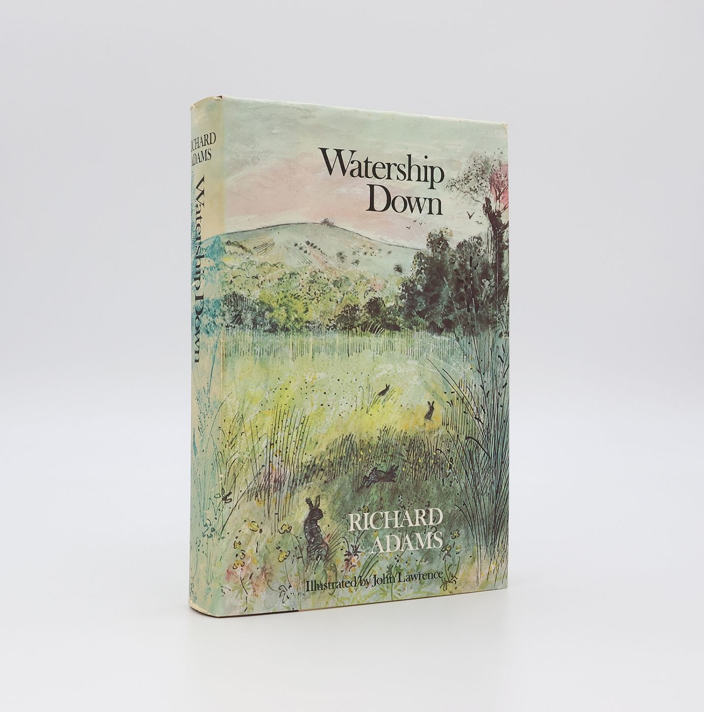 WATERSHIP DOWN -  image 2