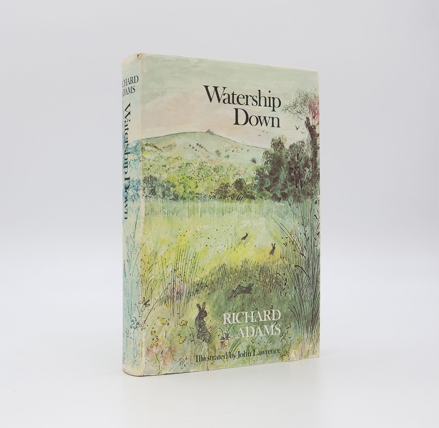 WATERSHIP DOWN -  image 2
