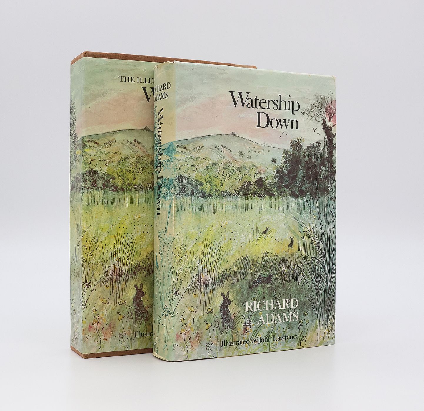 WATERSHIP DOWN -  image 1