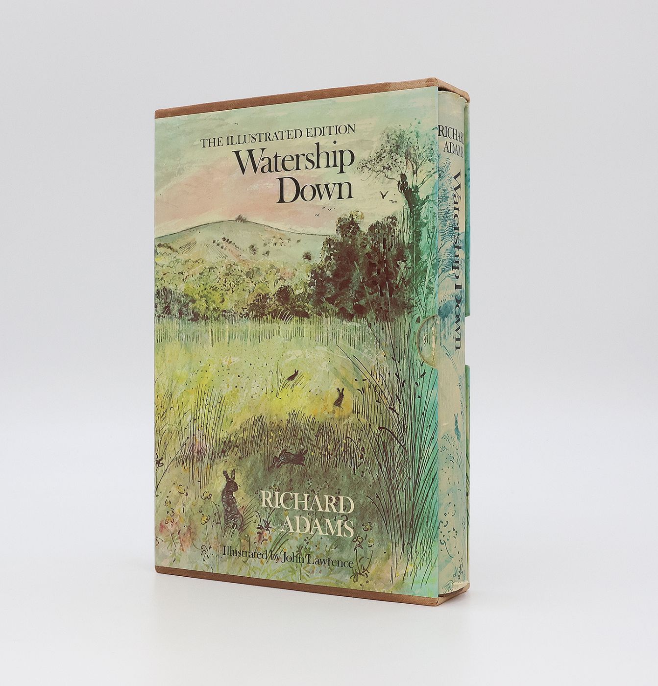 WATERSHIP DOWN -  image 3