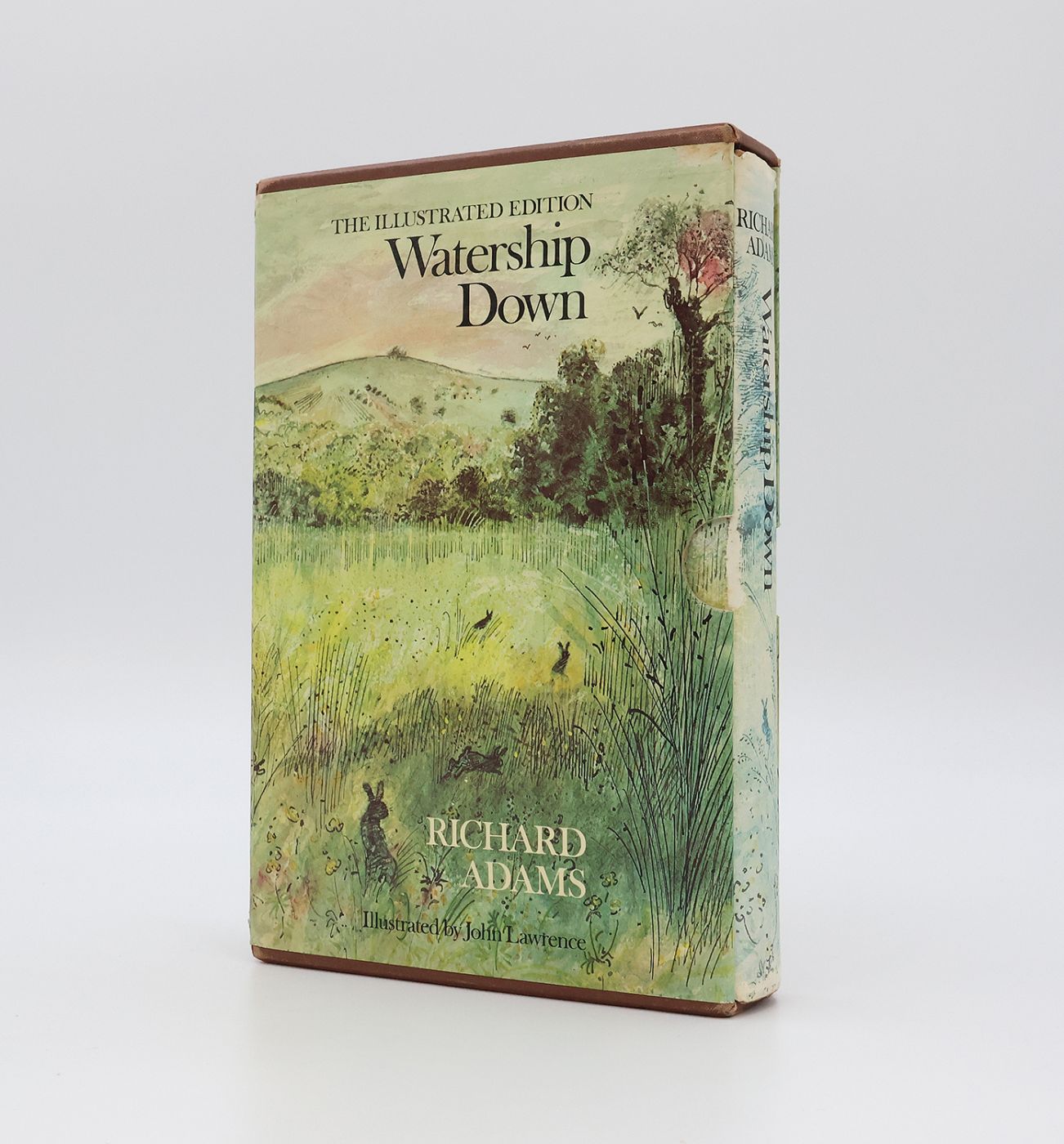 WATERSHIP DOWN -  image 3