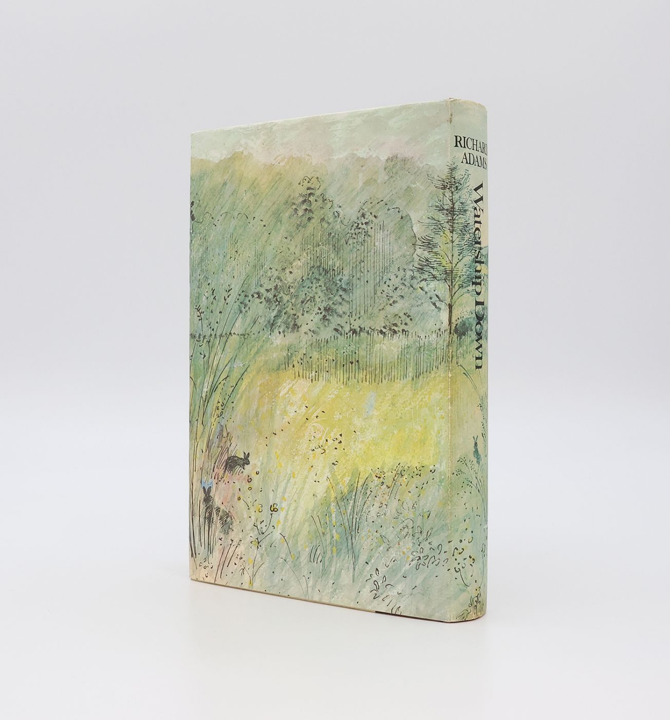WATERSHIP DOWN -  image 4