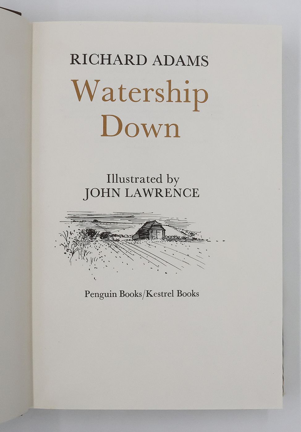 WATERSHIP DOWN -  image 4