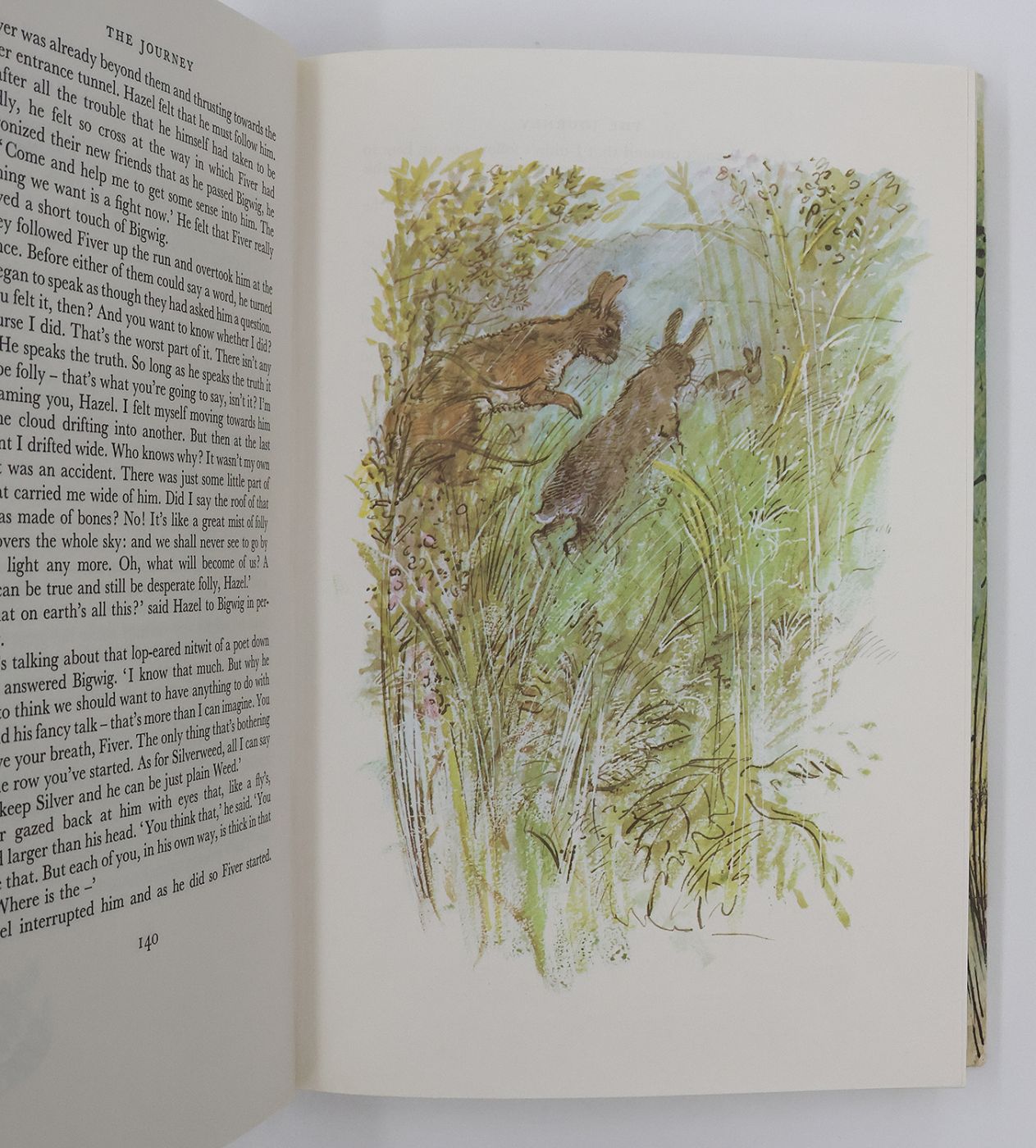 WATERSHIP DOWN -  image 4