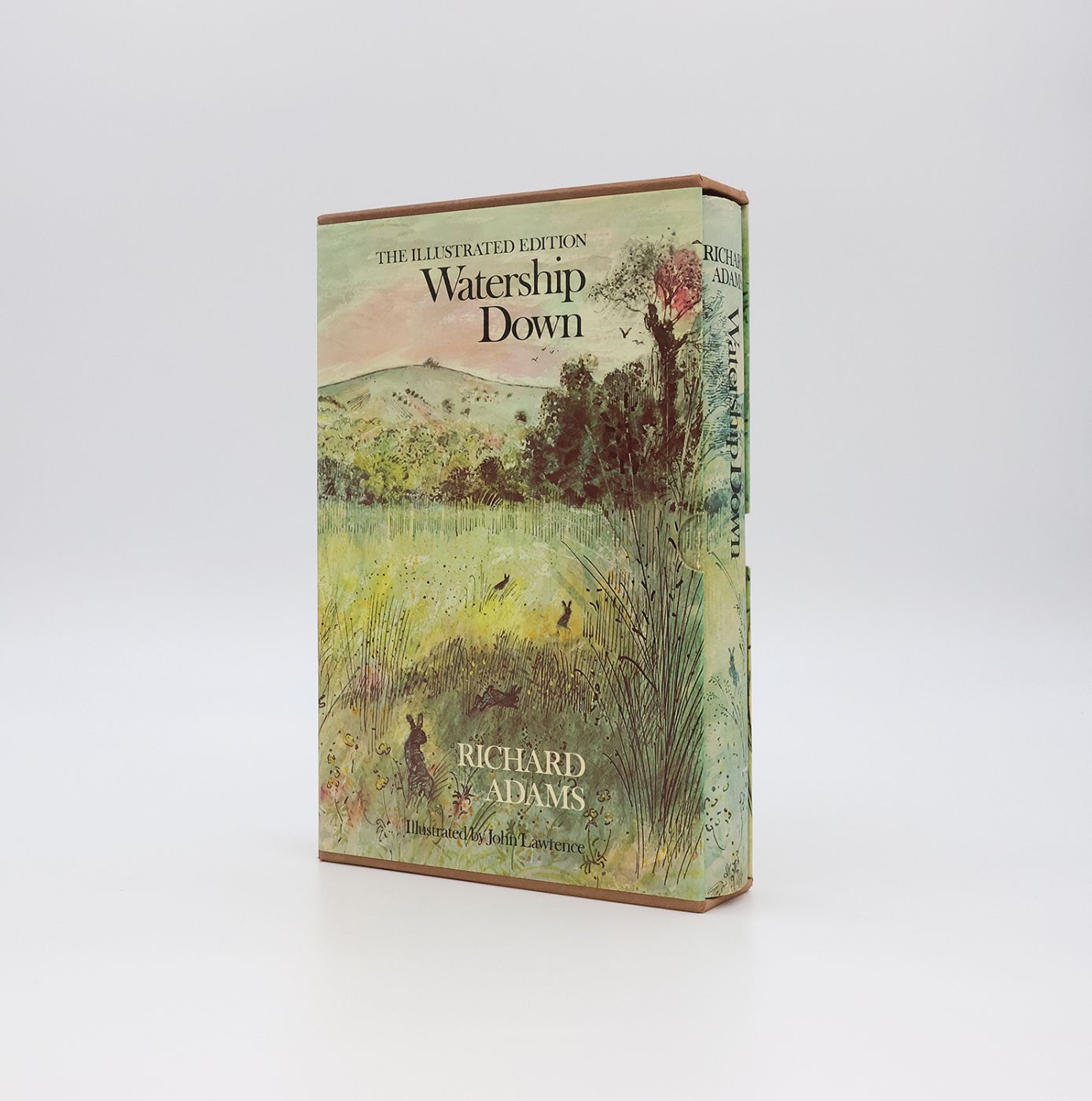 WATERSHIP DOWN -  image 5