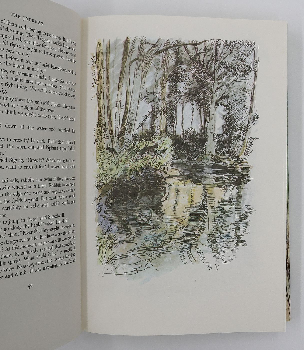 WATERSHIP DOWN -  image 5