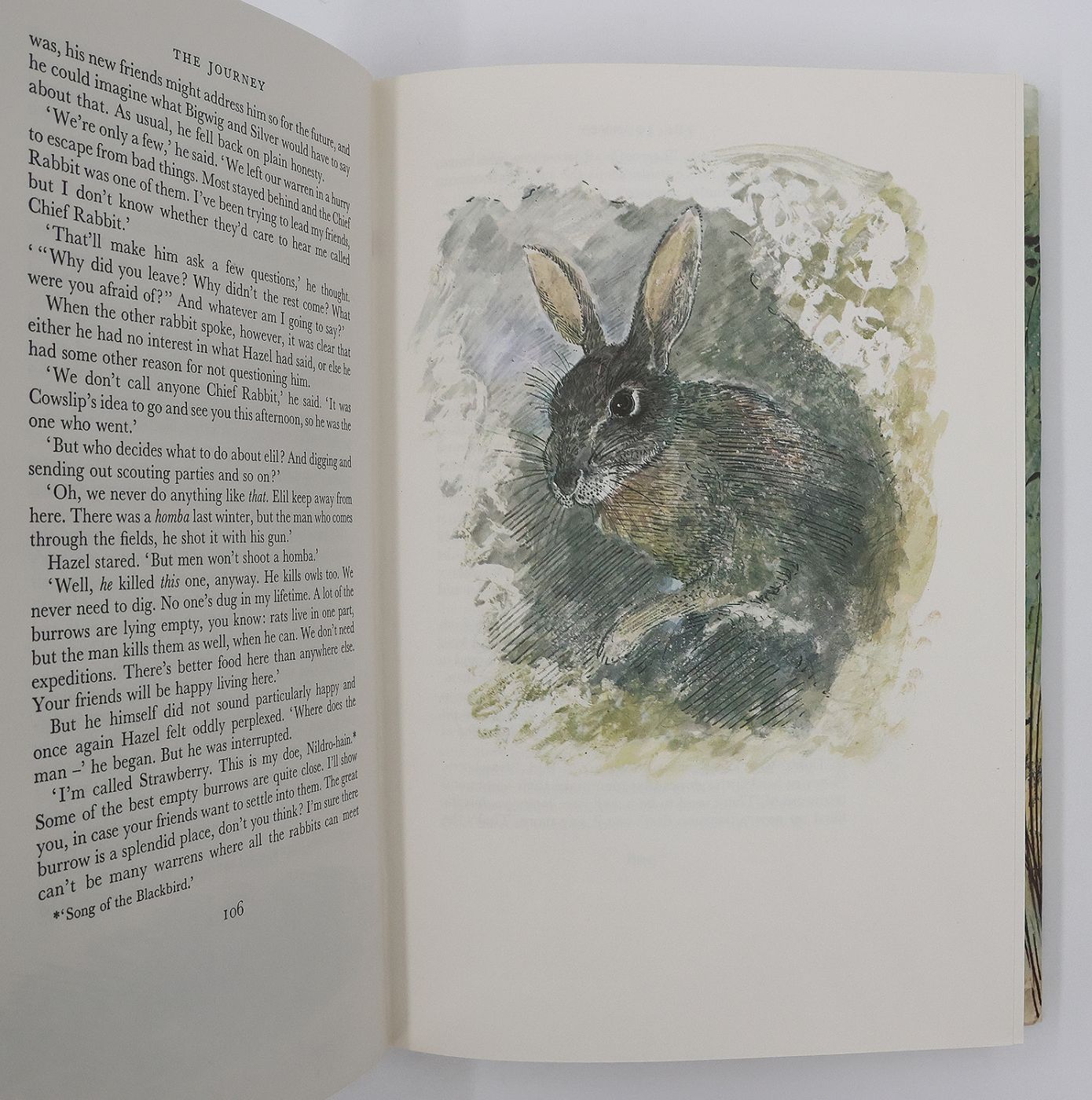WATERSHIP DOWN -  image 9