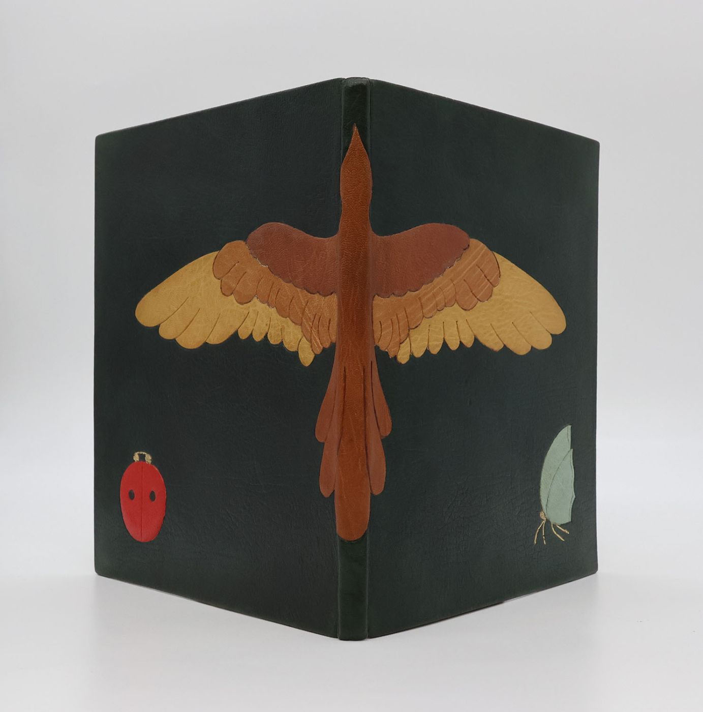 WINGS IN THE GARDEN -  image 2