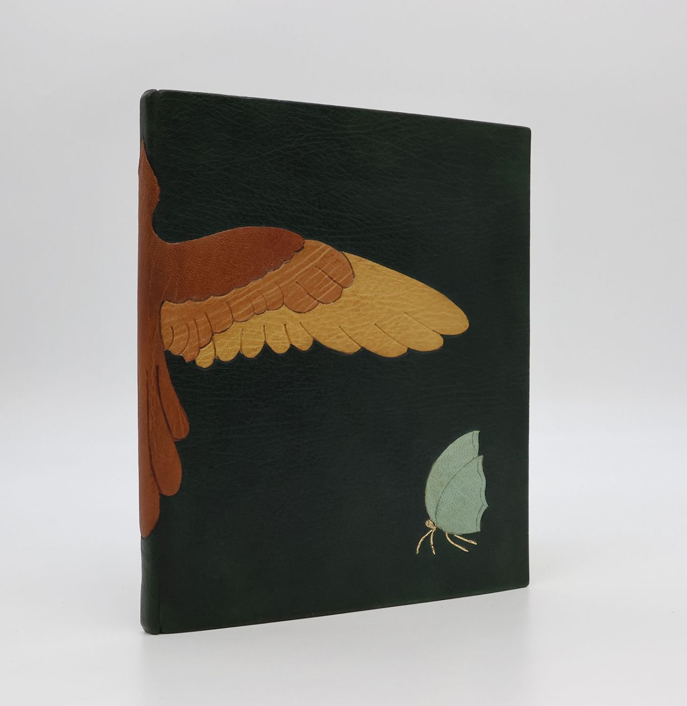 WINGS IN THE GARDEN -  image 3