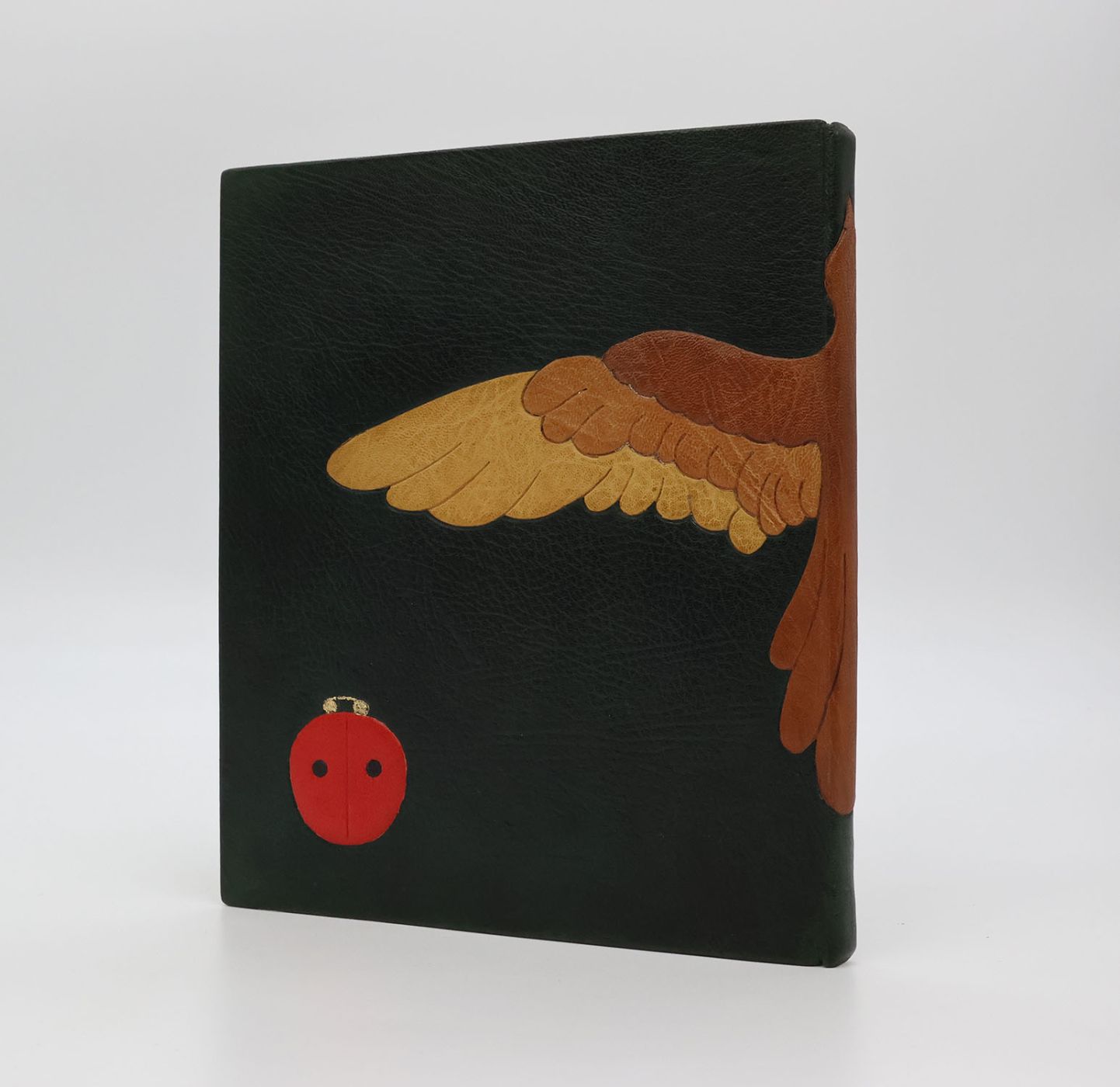 WINGS IN THE GARDEN -  image 4