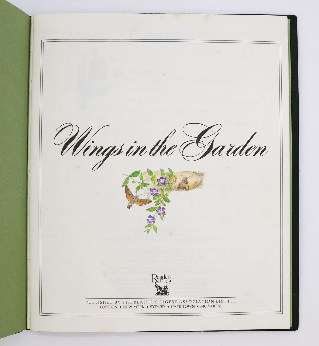 WINGS IN THE GARDEN -  image 5