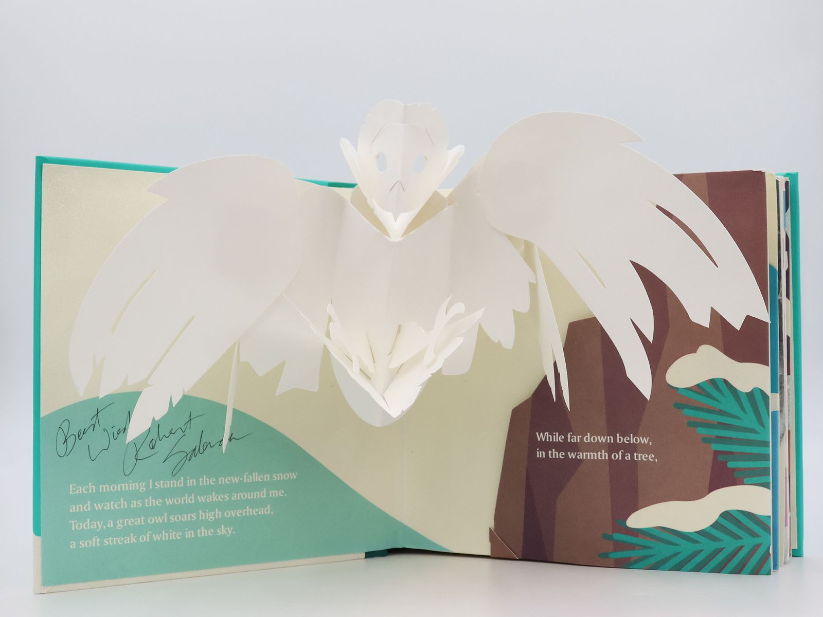 WINTER'S TALE -  image 1