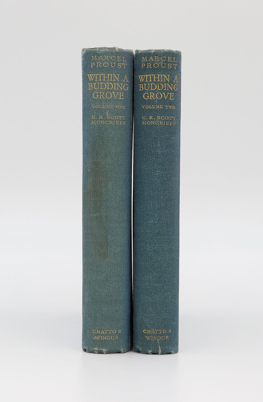 WITHIN A BUDDING GROVE -  image 2