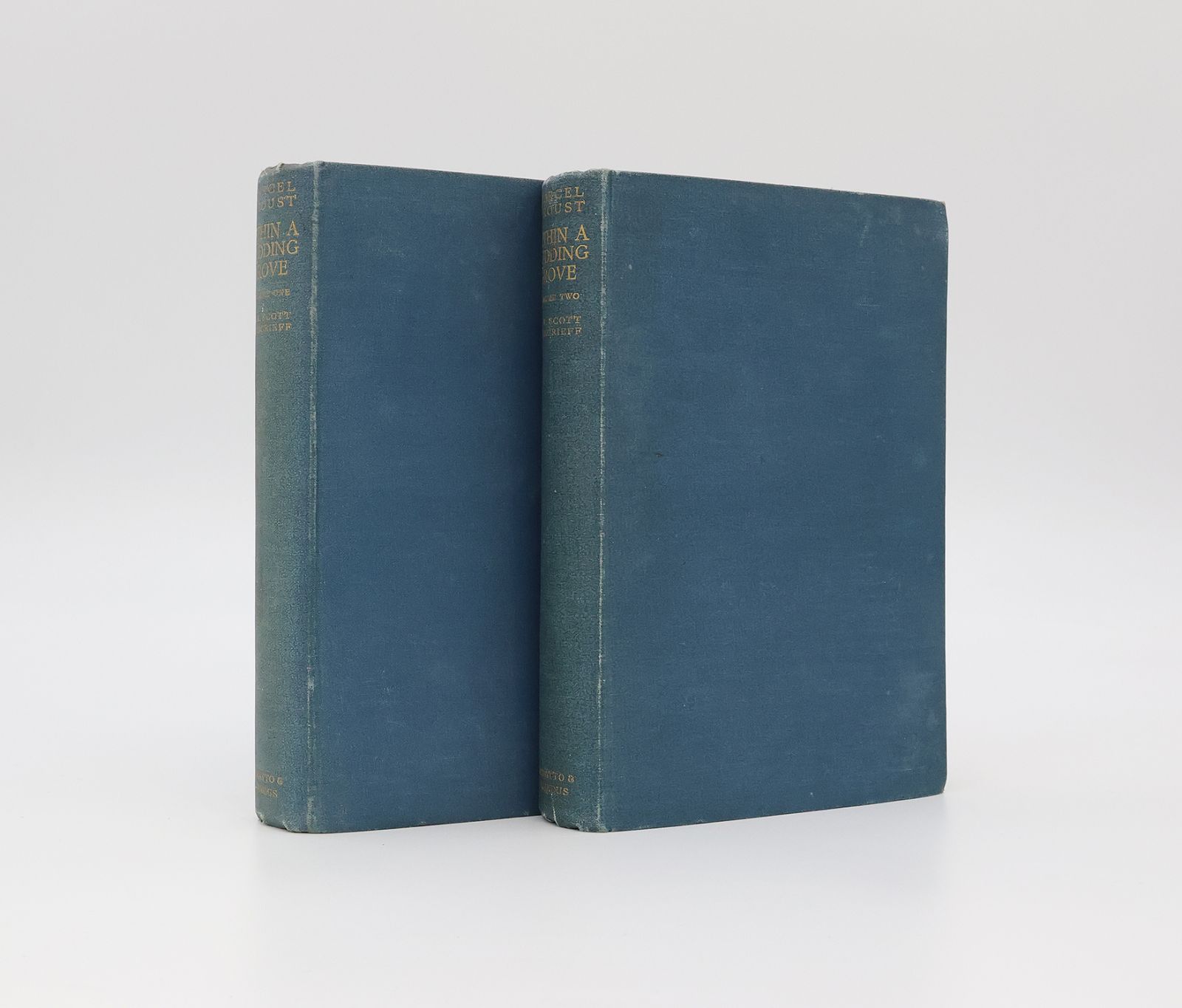WITHIN A BUDDING GROVE -  image 1