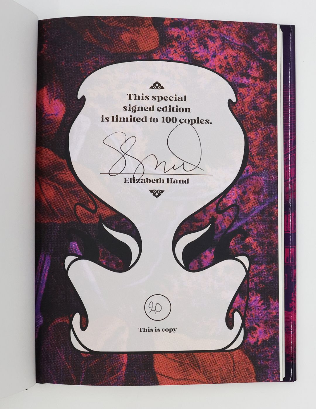 WYLDING HALL -  image 3